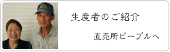 生産者さんのご紹介